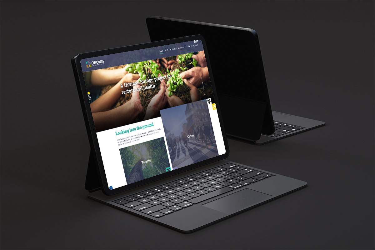 Mockup du site de l'IRC Orcasa Website, WordPress, CSS, HTML, SCSS
